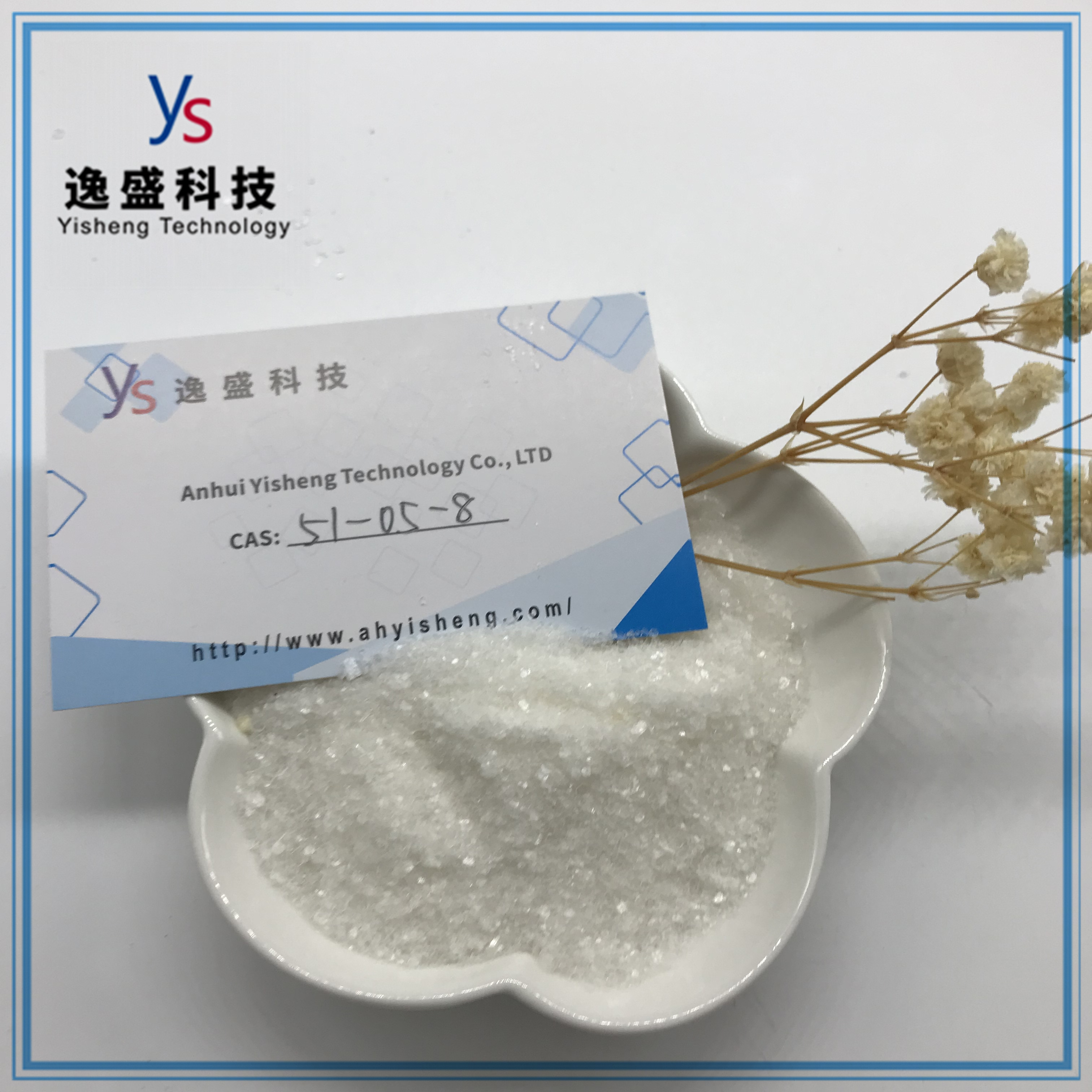 Cas 51-05-8 Procaine hydrochloride Topkwaliteit poeder 